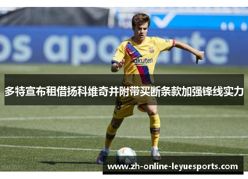 多特宣布租借扬科维奇并附带买断条款加强锋线实力